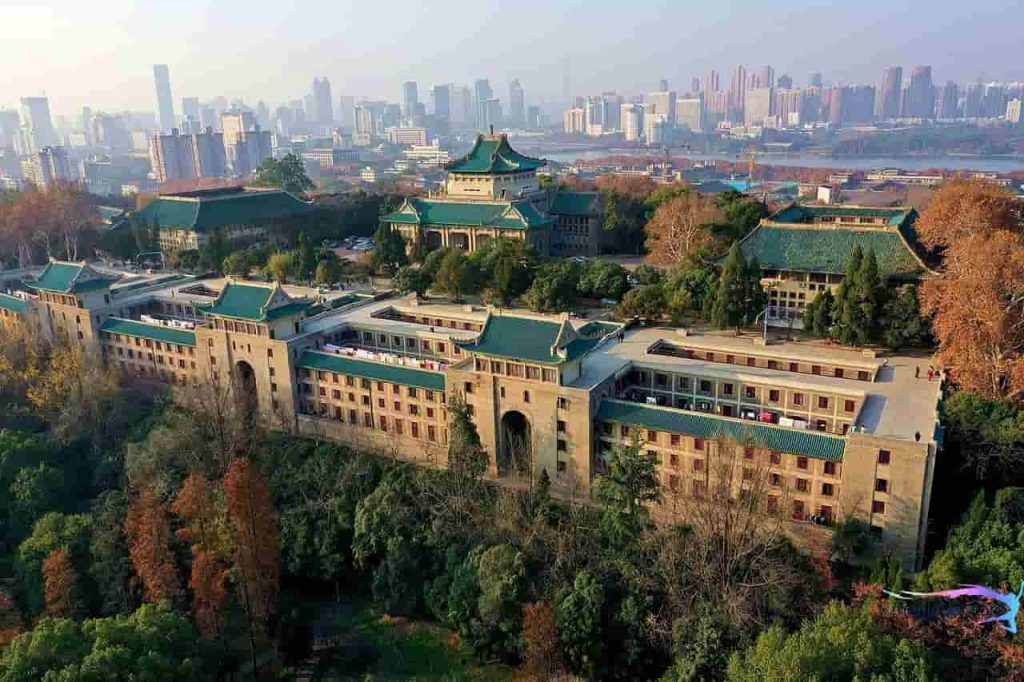 دانشگاه ژونگشان